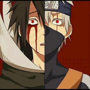 Meet your Posher, Leonardo